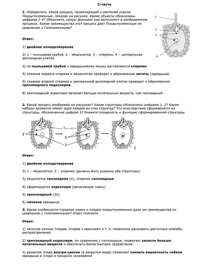 Размножение растений — задания с ответами